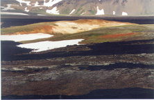Iceland, uztailak 99