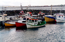 Iceland, uztailak 99